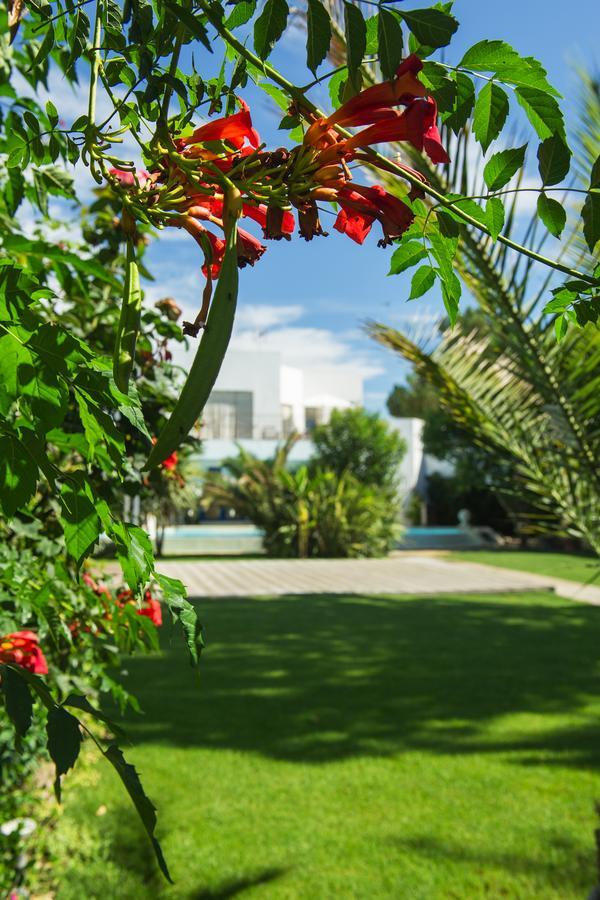 La Villa Majorelle Pertuis Kültér fotó