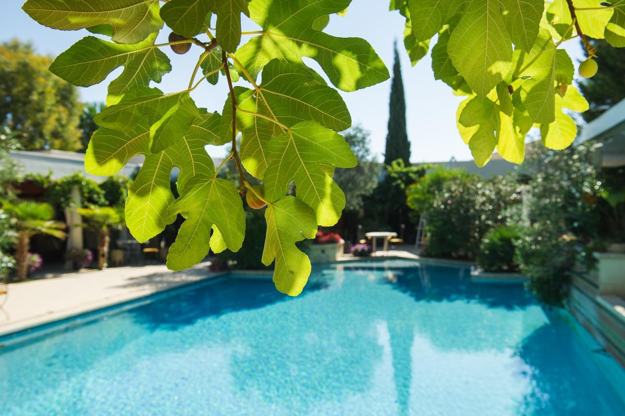La Villa Majorelle Pertuis Kültér fotó